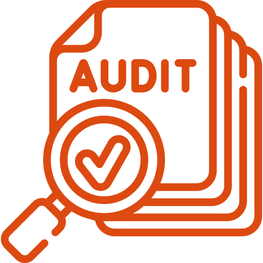 In-Depth Audits